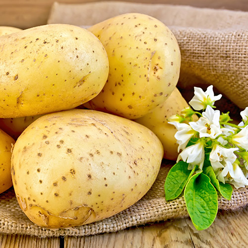 khoai-tay-3
