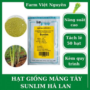 hạt giống măng tây xanh f1 sunlim hà lan