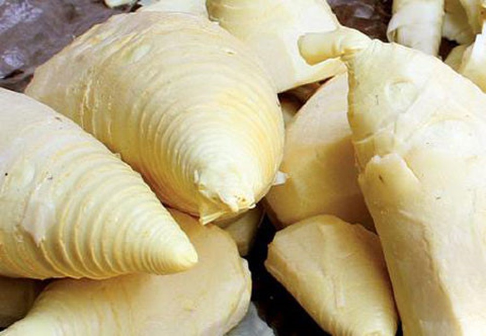 Nên chọn những ngọn măng được làm sạch, sờ mịn tay.