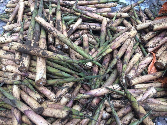 Măng sặt khá nhỏ, nên phần vỏ chiếm khá nhiều khối lượng.