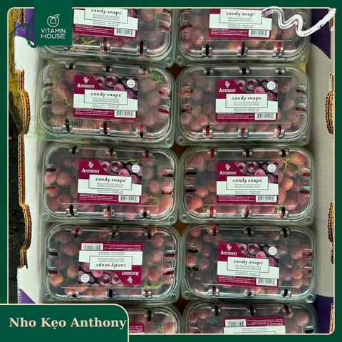 Một sản phẩm nho Mỹ tại gian hàng Vitamin House