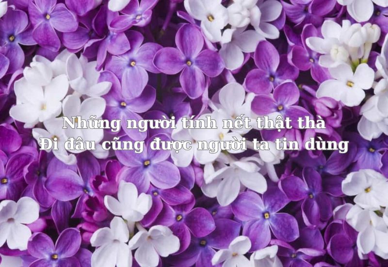 Minh họa những câu ca dao tục ngữ về lòng trung thực ý nghĩa nhất