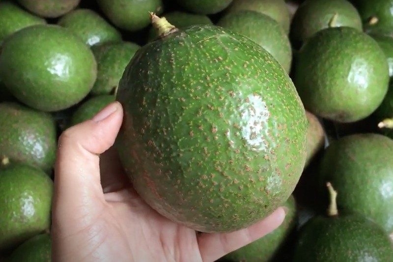 cach chon bo ngon khong bi suong dang 202011291917325725