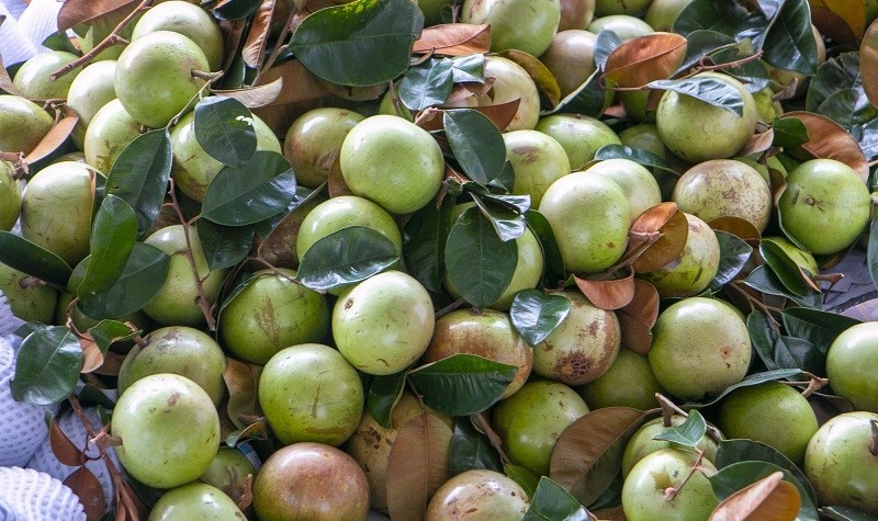 Vú sữa bao nhiêu 1kg?