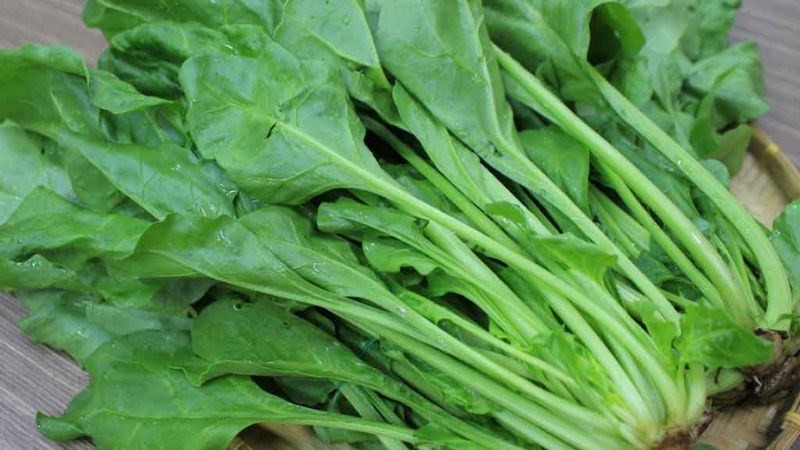 cach phan biet cac loai cai pho bien cuc don gian tipsnote 800x450 1 1