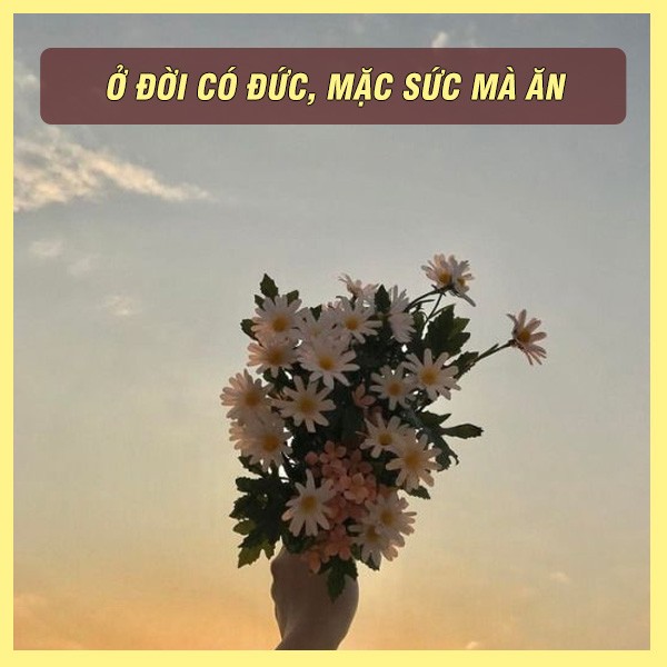 Hình ảnh minh họa cho câu tục ngữ lá lành đùm lá rách