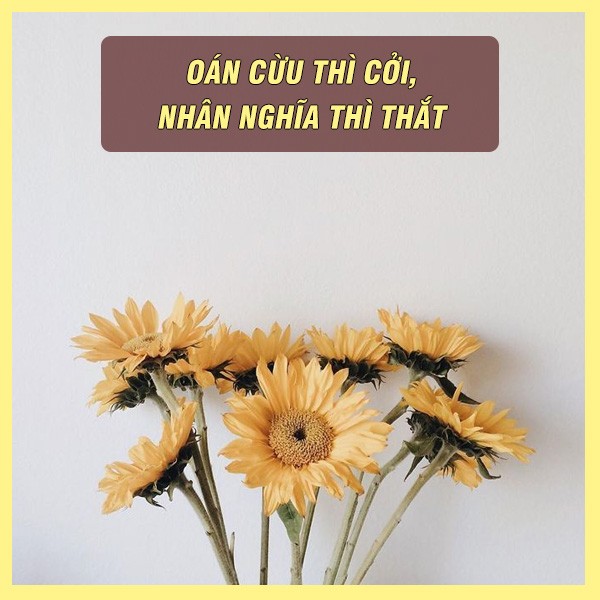 Sự tương thân tương ái được thể hiện qua ca dao tục ngữ
