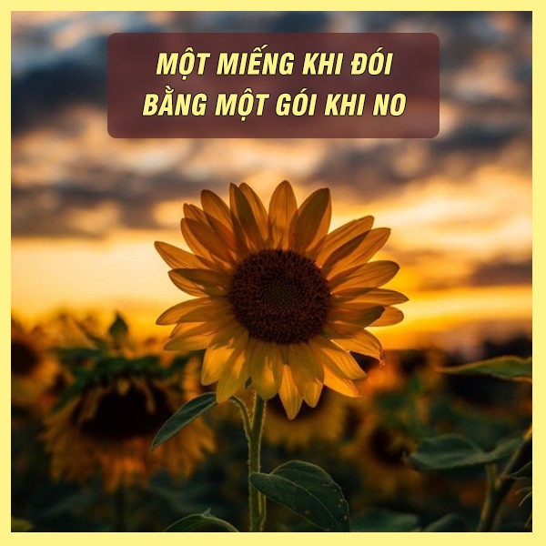 Tục ngữ nhắc nhở con người sống phải biết yêu thương nhau