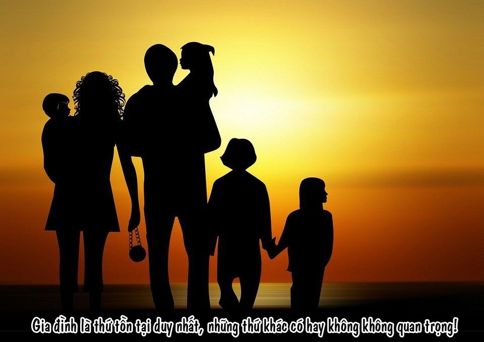 Cặp vợ chồng trẻ đang cùng nhau nấu ăn trong căn bếp ấm cúng