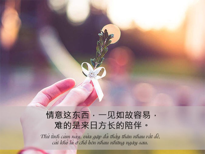 Cô gái đang suy tư về tình yêu và cuộc sống