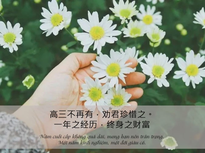 Sách vở và bút viết tượng trưng cho sự nghiệp học hành