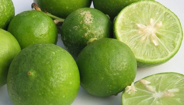 Chanh giấy có kích thước nhỏ, mùi vị nồng chua hơn, thơm hơn và vỏ mỏng hơn