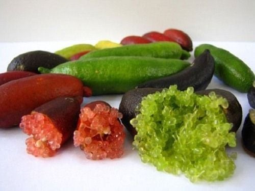 Chanh ngón tay có các tép chanh tròn nhỏ giống hệt như trứng cá