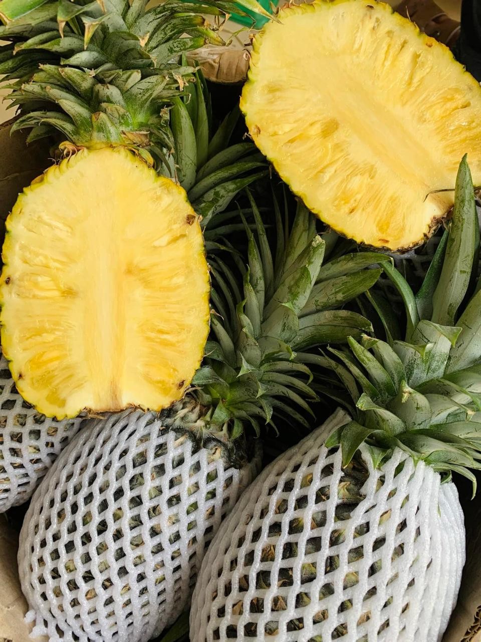 Dứa MD2 – Nông sản Vicas