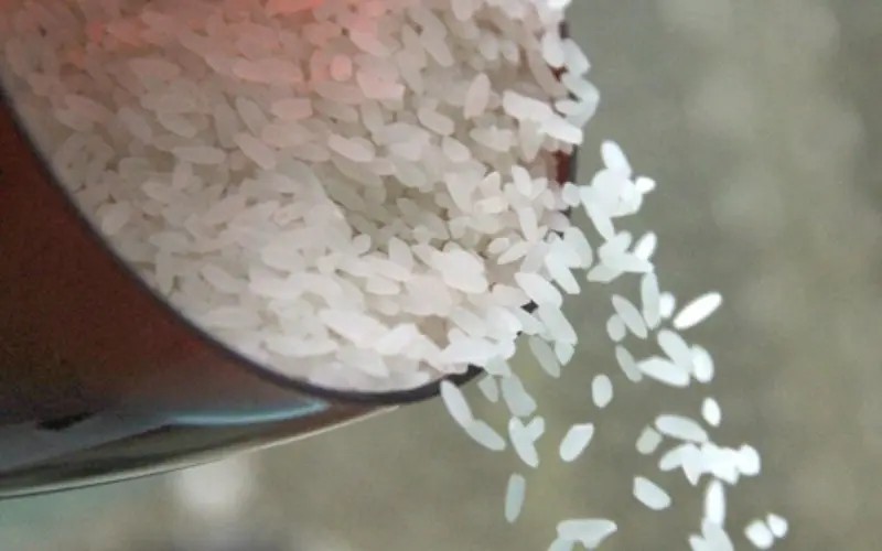 Gạo tám Điện Biên đặc sản Tây Bắc