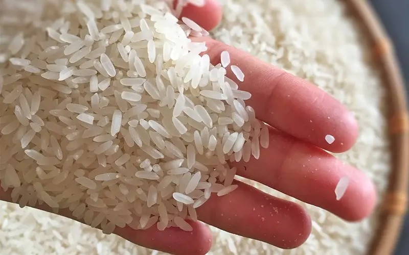 Gạo Bắc Hương hạt nhỏ dài trắng trong