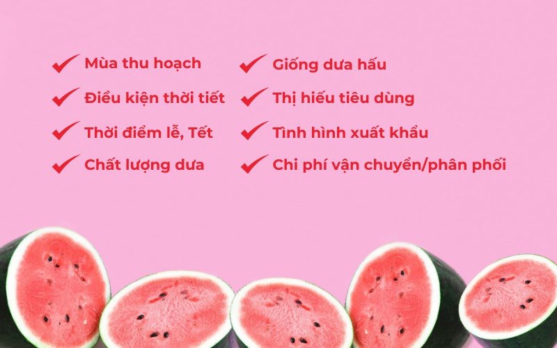 Thời tiết và mùa vụ là những yếu tố chính ảnh hưởng đến giá dưa hấu