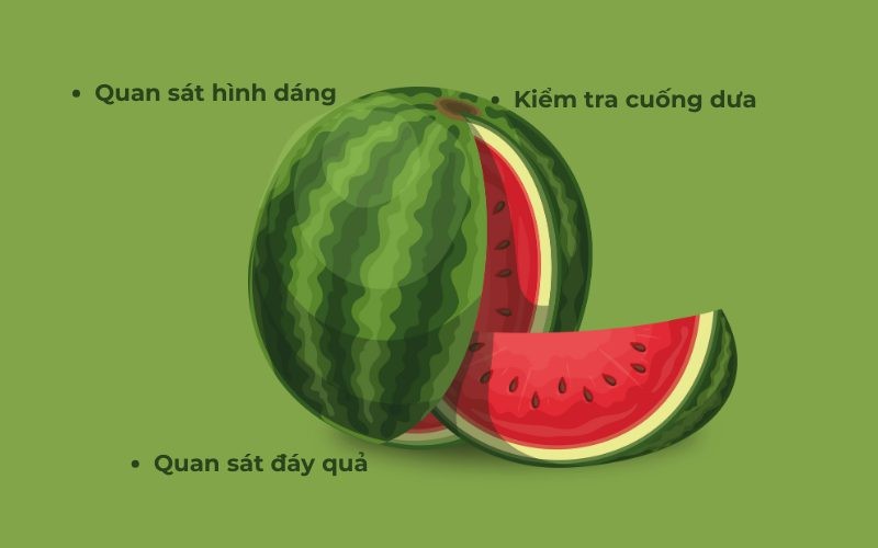 Quan sát cuống và vỏ là cách đơn giản để chọn dưa hấu ngon