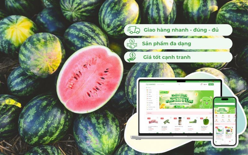 Dưa hấu không chỉ ngon mà còn mang lại nhiều lợi ích sức khỏe tuyệt vời