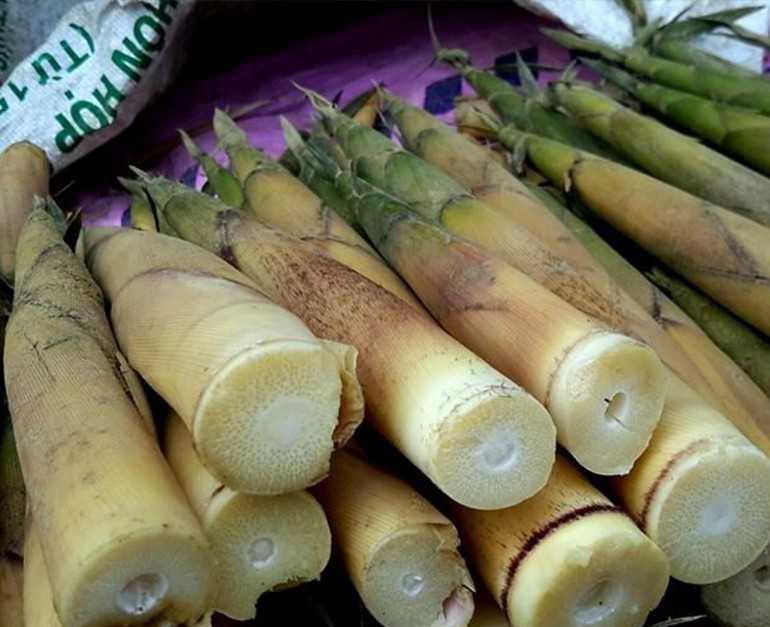 Măng bát độ được bày bán nhiều nhất và khá dễ nhận dạng