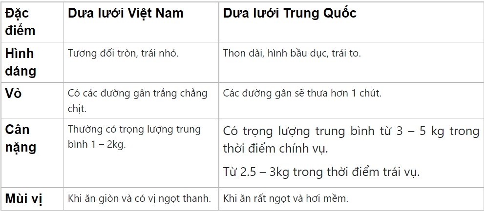 So sánh hình dáng và vân lưới để phân biệt các loại dưa