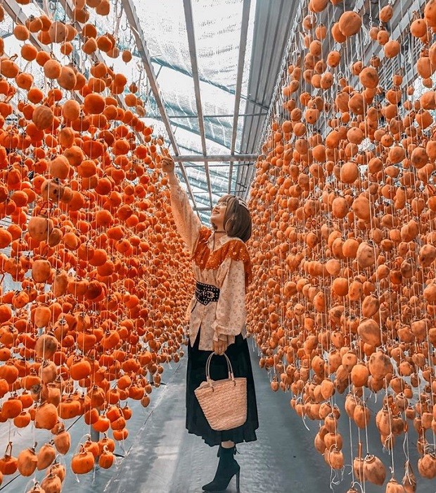 Hồng treo gió - Đặc sản trứ danh của Đà Lạt