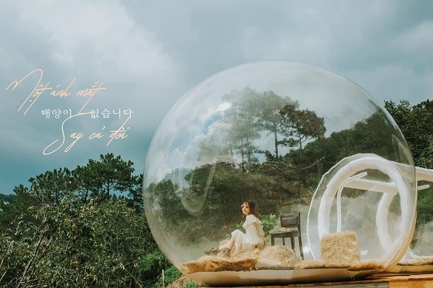 Một góc sống ảo độc đáo tại vườn hồng Nhà Tom