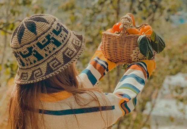 Tận hưởng vẻ đẹp mùa hồng Đà Lạt ngay hôm nay