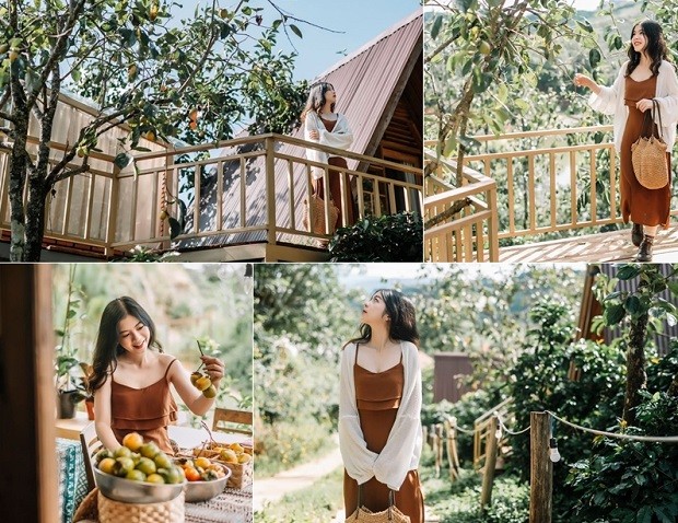 Cảnh sắc mùa hồng Đà Lạt thơ mộng và yên bình