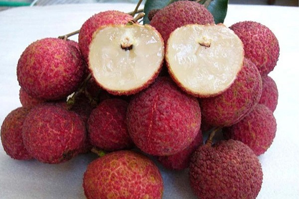 Vải thiều không hạt ở Bắc Giang