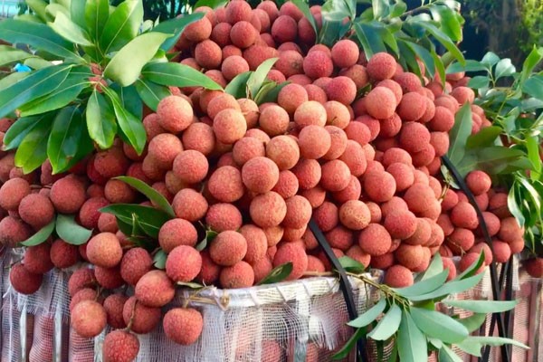 Giảm tình trạng chuột rút cơ bắp