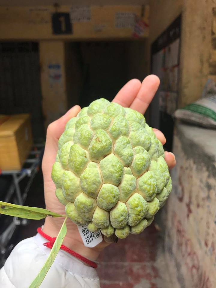 Điểm danh 10 loại na đang có mặt trên thị trường Việt, loại đắt nhất lên tới gần 500 nghìn/kg-6