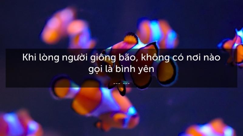 Những câu nói hay về cuộc sống bình yên giúp xoa dịu tâm hồn