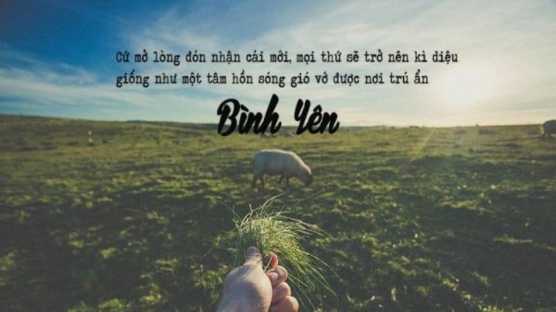 Status hay và ý nghĩa về sự bình yên trong cuộc sống