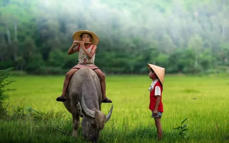 Những câu nói hay về kỉ niệm đẹp khắc ghi trong tâm trí