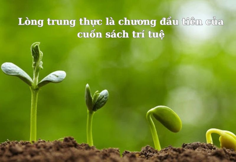 Những câu nói hay về sống ngay thẳng và trung thực