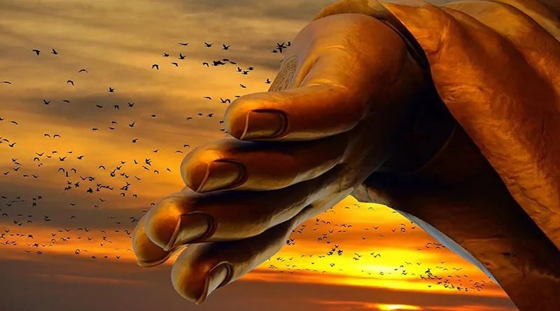 Hình ảnh minh họa về lối sống thanh thản bỏ ngoài tai những lời thị phi