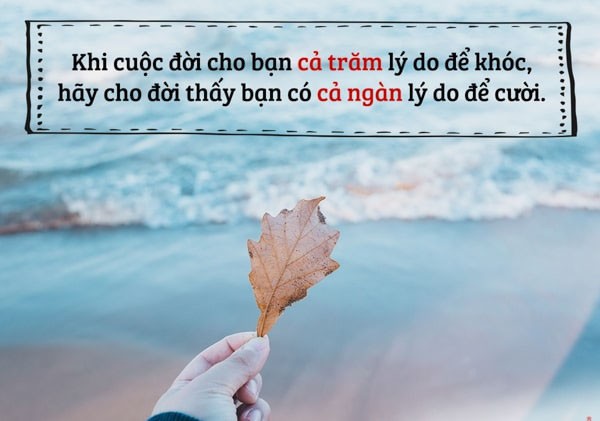 Những câu nói hay về tình yêu cuộc sống