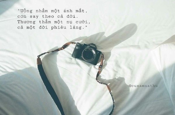 Những câu nói hay về tình yêu ngôn tình ngắn gọn