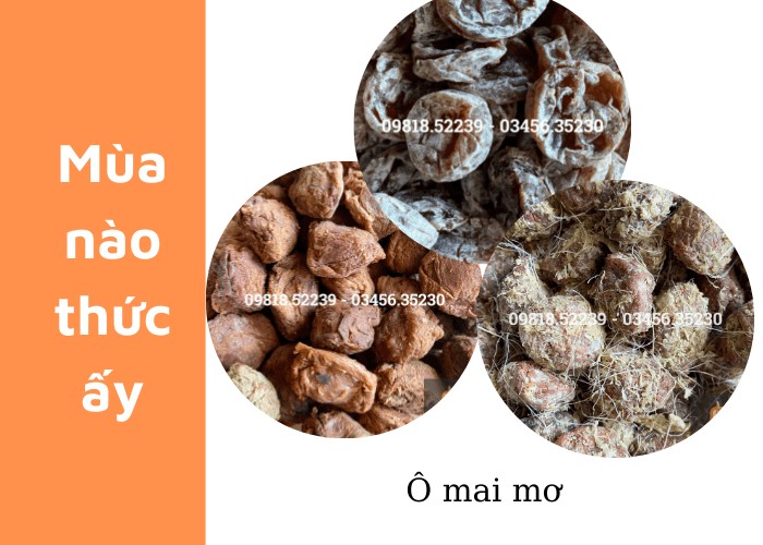 Ô mai mơ - Đặc sản tinh tế lưu giữ hương vị truyền thống