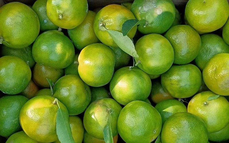 Dinh dưỡng trong quýt