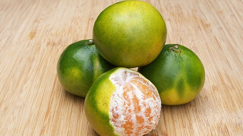 Quýt đường (quýt da xanh)