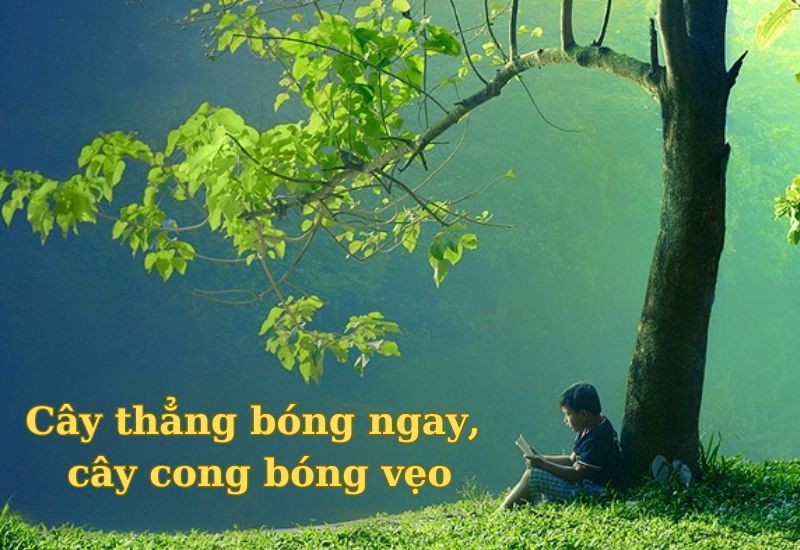 Những câu thành ngữ về trung thực và tự trọng