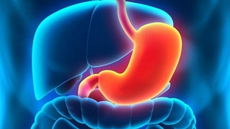 Người bị bệnh dạ dày không nên ăn tỏi vì tỏi có lượng axit gây hại cho dạ dày