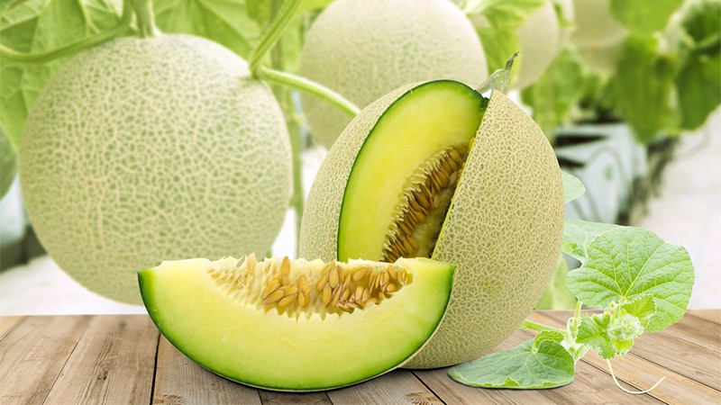 Dưa lưới ruột xanh Nhật Bản