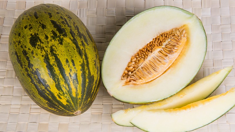 Dưa lưới Santa Claus