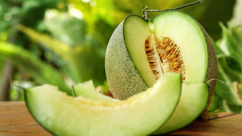 tong hop cac loai giong dua luoi pho bien hien nay co the ban chua biet 202201101106279965 1