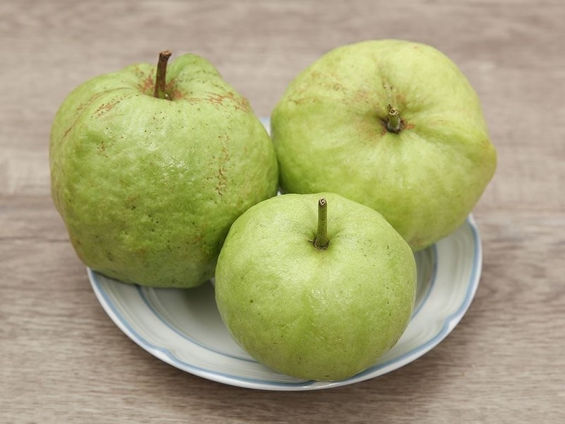 Top 8 các loại ổi ngon "đỉnh chóp" tại Việt Nam và lợi ích sức khỏe bất ngờ 7 top8cacloaioingonboduongvadetimmua1f75f6151a0 1