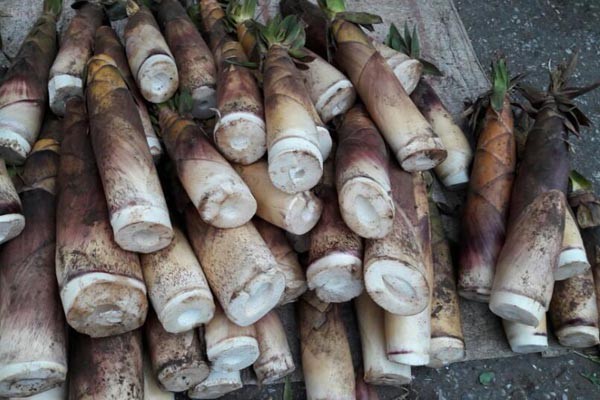 tre nua 1569828734420678460099