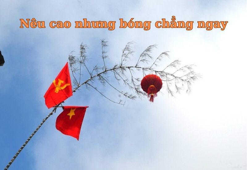 Tổng hợp các câu tục ngữ nói về lòng trung thực ngắn gọn